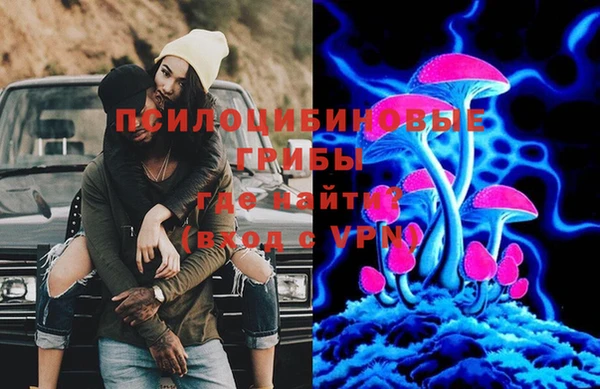 сатива Арсеньев