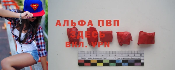 сатива Арсеньев
