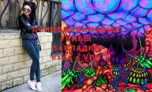 сатива Арсеньев